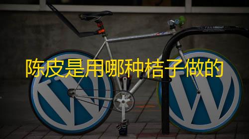 第五人格直装透视软件下载陈皮是用哪种桔子做的