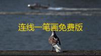 连线一笔画免费版